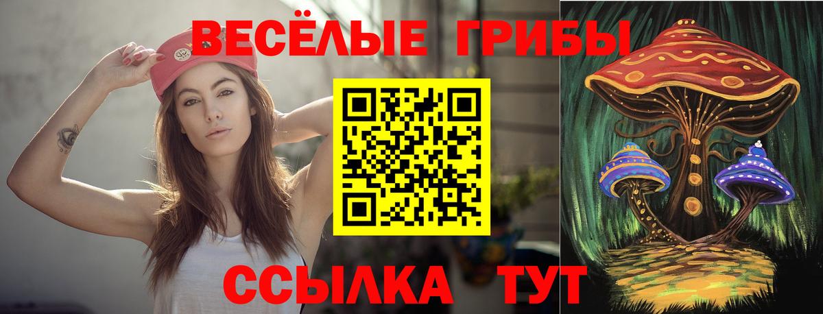 Псилоцибиновые грибы Magic Shrooms  Галлюциногенные грибы Psilocybe  Вход с VPN  Горячий Ключ 